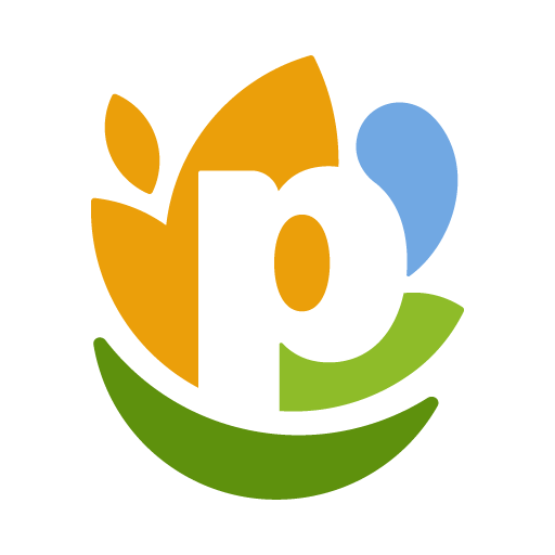 Pepsico Inc logo